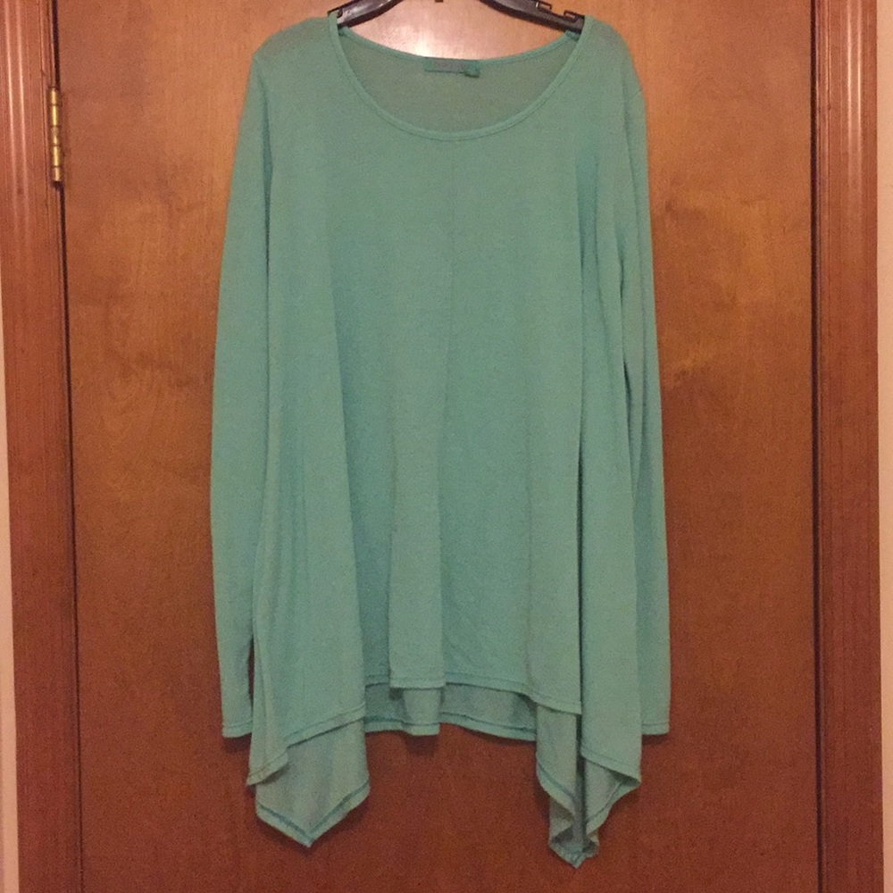 Teal long sleeve tunic sweater